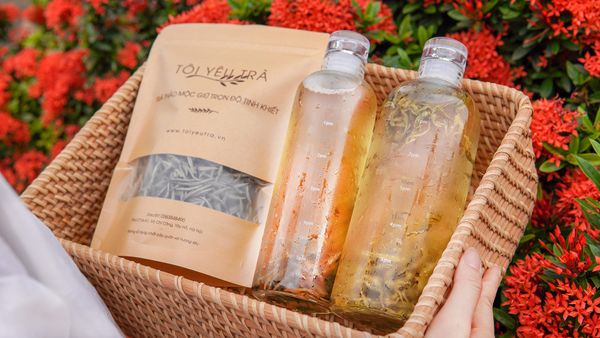 Trà Ủ Lạnh (Cold Brew) Là Gì? Bí Quyết Pha Trà Shan Tuyết Hà Giang Đúng Chuẩn