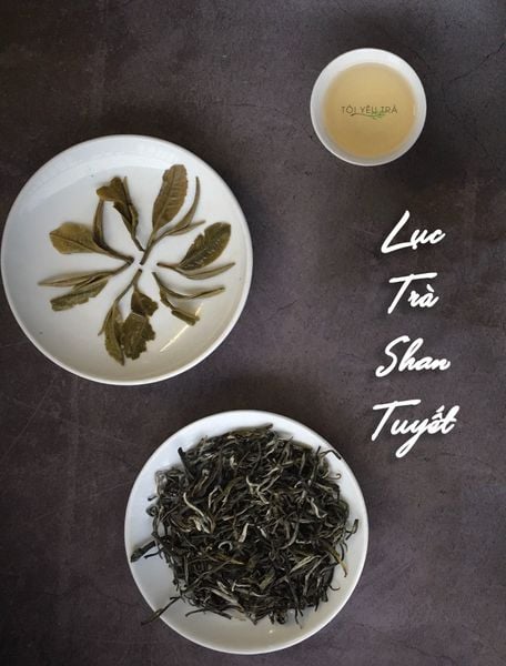 trà xanh shan tuyết