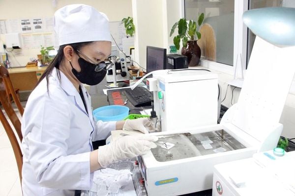 Kỹ thuật viên kính thuốc: Kiến thức và kỹ năng cần thiết trong nghề