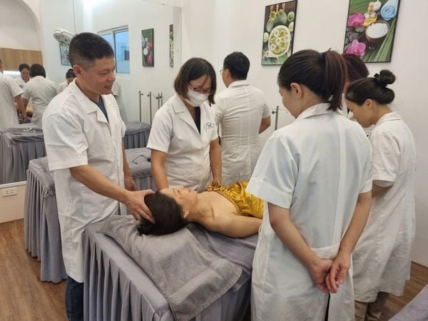 Đào Tạo Ngành Y Học Cổ Truyền: Con Đường Khám Phá và Phát Triển Sự Nghiệp