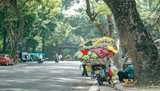 Mùa Thu Hà Nội - mùa lãng mạn của Thủ đô