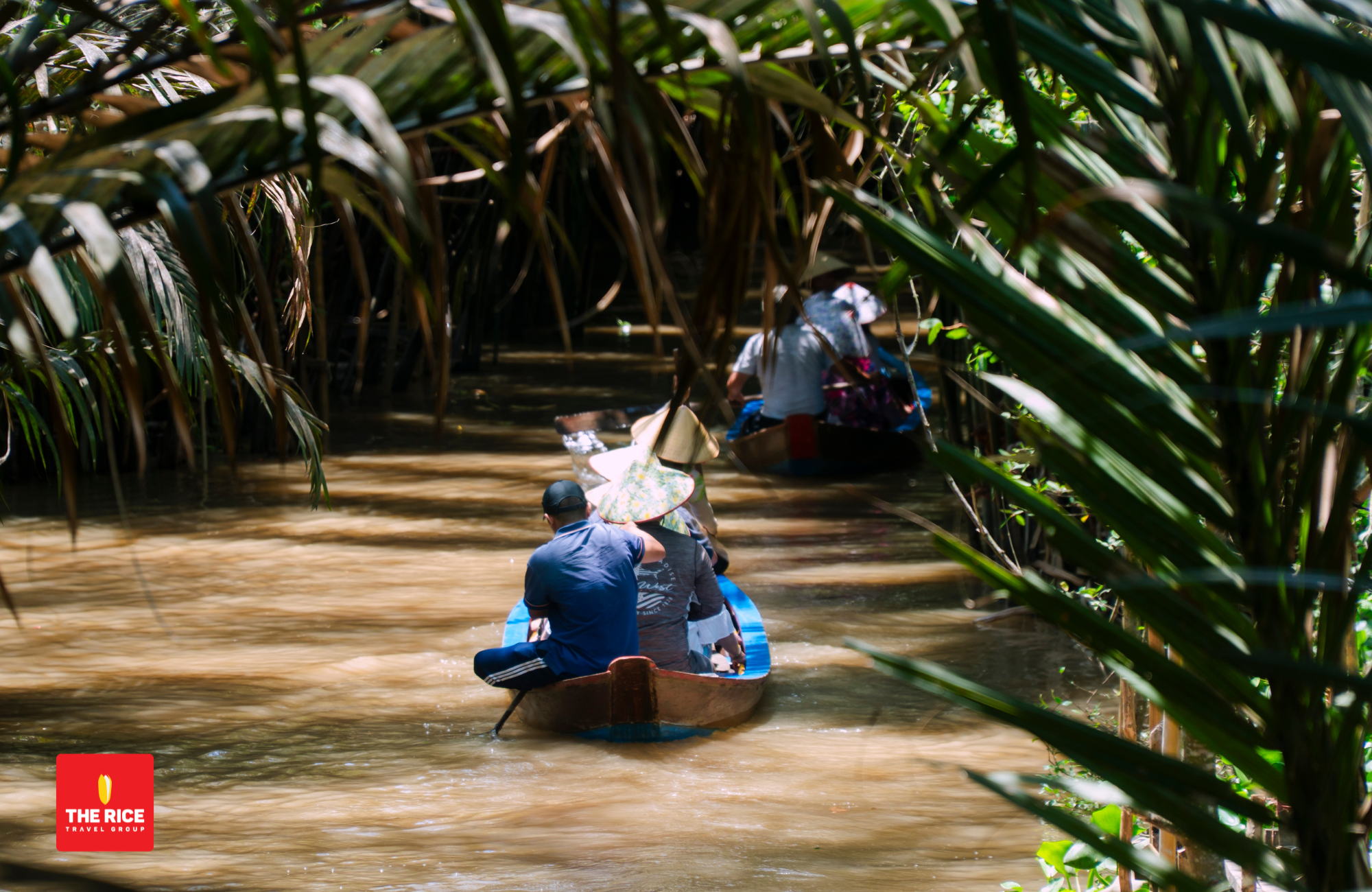 Kinh Nghiệm Du Lịch Cồn Thới Sơn – Miền Tây Cùng The Rice Travel Group