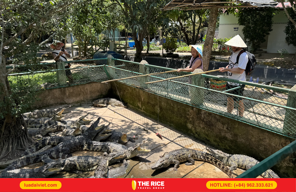 Guests can experience crocodile fishing right at the lake.