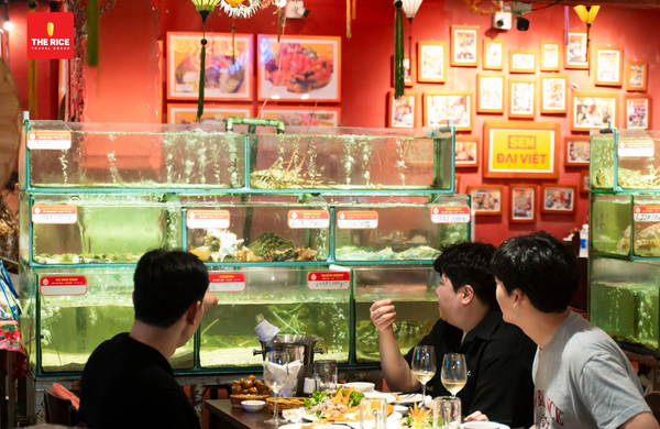 Hải sản tại nhà hàng Đại Việt tươi sống, đảm bảo chất lượng