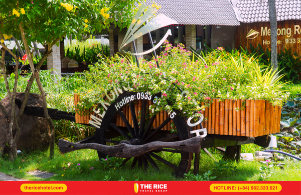 Mekong Rest Stop - trạm dừng chân chuẩn miệt vườn, không gian xanh mướt