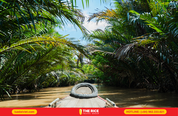 Experience a relaxing boat ride, enjoying the scenery as you pass through the four islets of Long, Lan, Qui, and Phung.
