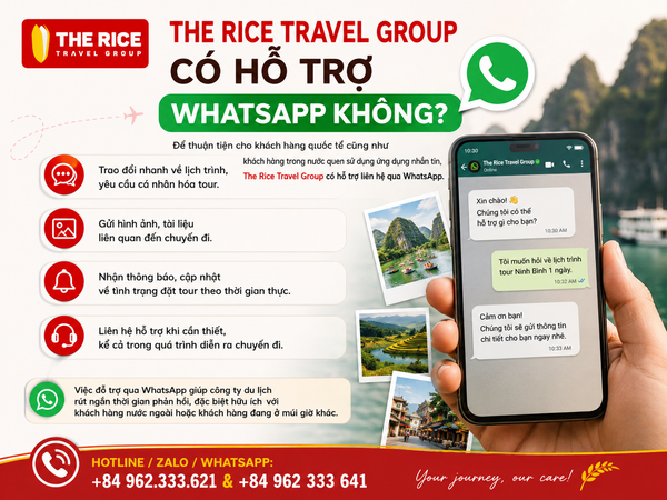 Dễ Dàng Kết Nối Với The Rice Travel Group Qua WhatsApp