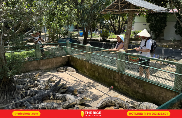 Tourists are experiencing crocodile fishing.