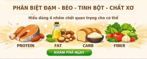 Phân biệt đạm, béo, tinh bột, chất xơ