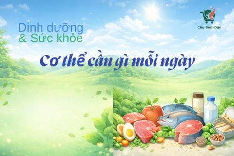 Cơ thể cần gì mỗi ngày?