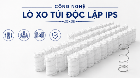 Lò xo túi độc lập là gì? Công nghệ nâng đỡ tối ưu cho giấc ngủ ngon