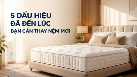 Tại sao bạn nên thay nệm mới?