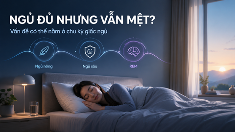 Có bao giờ bạn ngủ đủ nhưng vẫn thấy mệt?