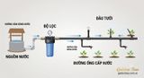 Bộ Lọc Nước Cho Hệ Thống Tưới Cây Tự Động: Có Cần Thiết Không?