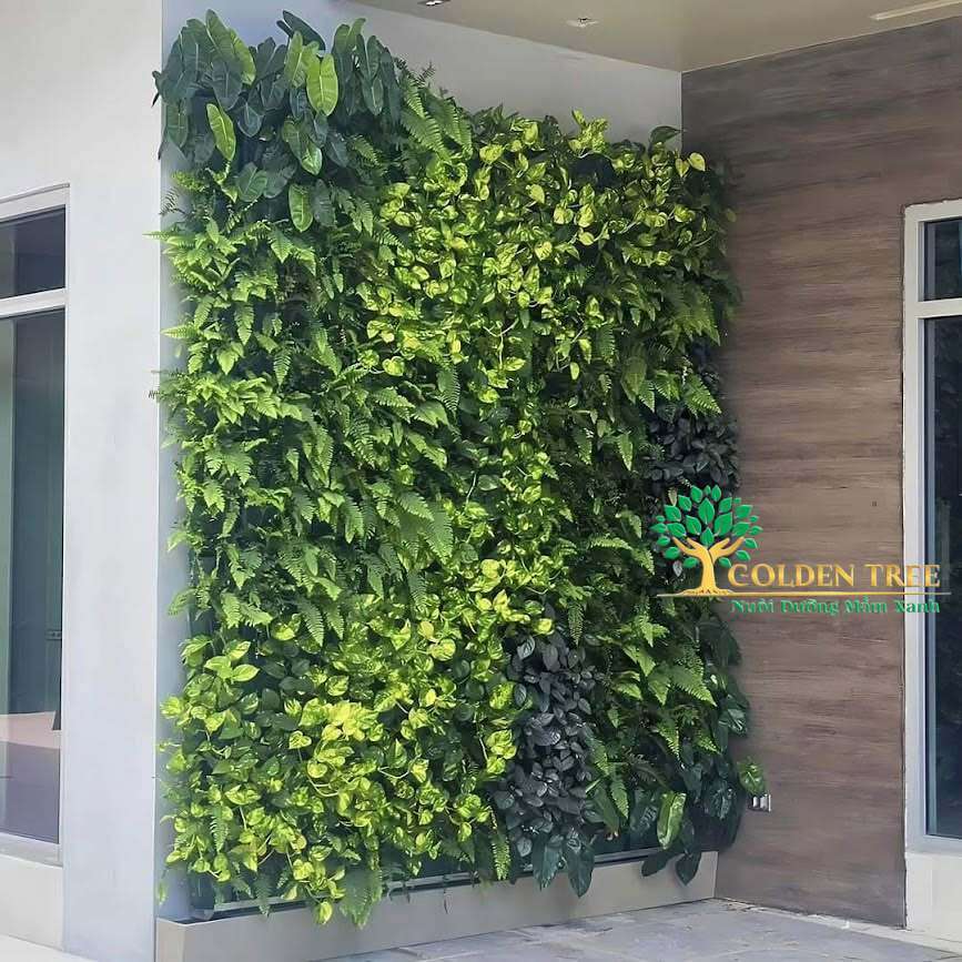Dịch vụ thiết kế thi công tường cây chuẩn kỹ thuật tại Goldentree