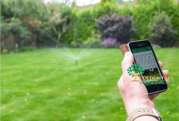 Hệ thống tưới cây tự động điều khiển bằng điện thoại Goldentree