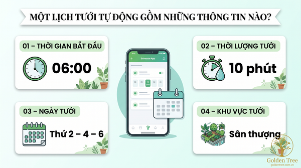 Các thông số cài lịch tưới cây tự động