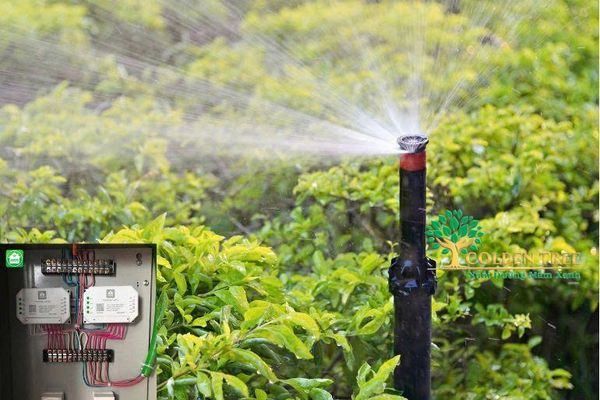 Bộ điều khiển hệ thống tưới thông minh kết nối điện thoại