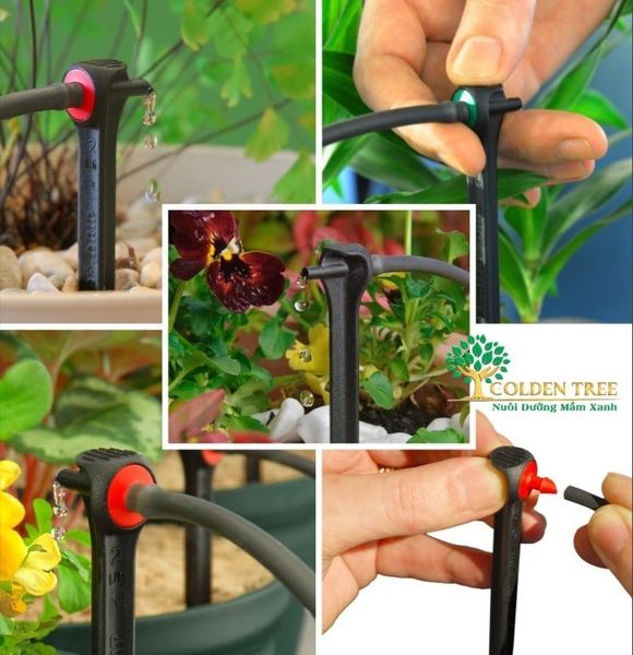 Giải pháp tưới nhỏ giọt sân vườn hiện đại tại Goldentree