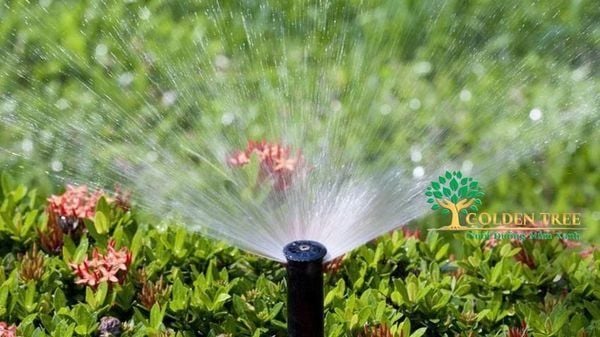 Điều khiển hệ thống tưới cây từ xa bằng điện thoại Goldentree