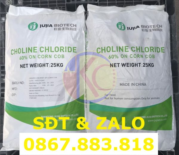 Choline Chloride (C5H14ClNO) - Cholin Clorua_1