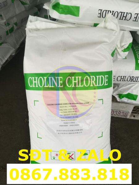 Choline Chloride (C5H14ClNO) - Cholin Clorua_2