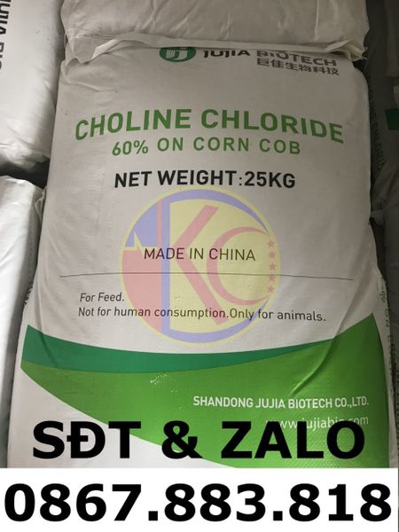 Choline Chloride (C5H14ClNO) - Cholin Clorua_3