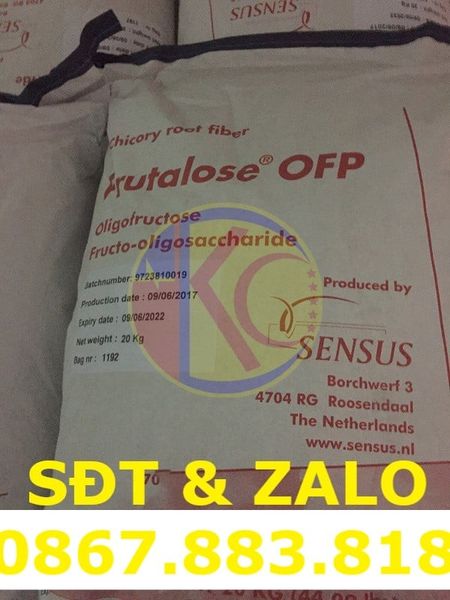 Frutalose - Oligofructose Từ Inulin Rau Diếp Xoăn