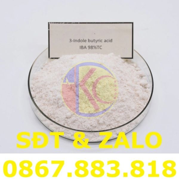 Indole Butyric Acid (C12H13NO2) - Axit Indole Butyric