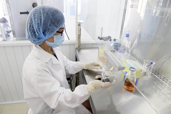 Butanedione Dioxime (C4H8N2O2)_phân tích háo học