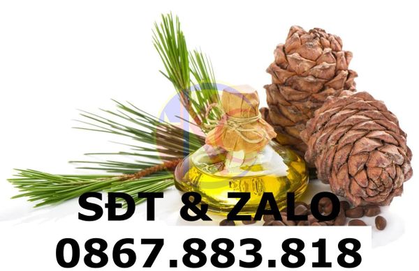 Pine Oil dùng làm chất tạo bọt trong tuyển nổi