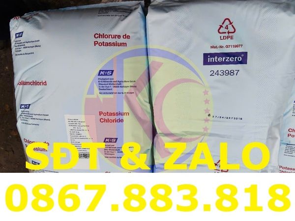 Potassium Chloride KCl Food Grade dạng tinh thể màu trắng