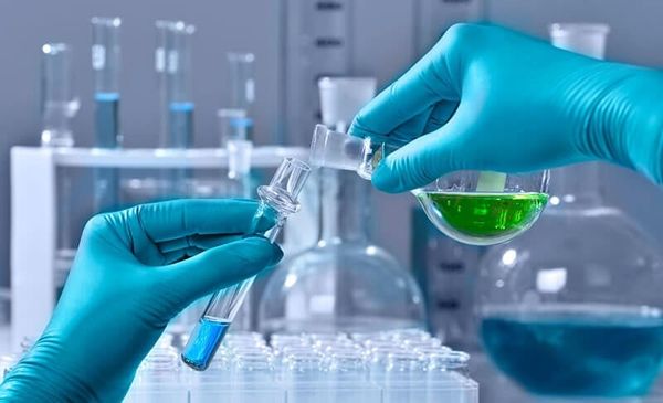 Auramine O phát huỳnh quang dưới tia UV