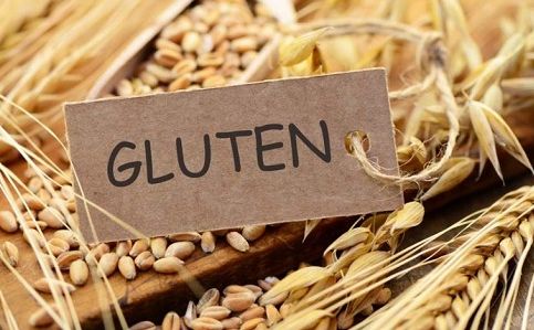 Chất gluten là gì?