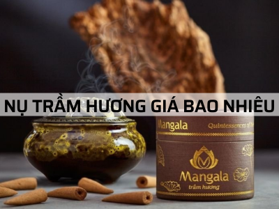 NỤ TRẦM HƯƠNG THIÊN NHIÊN đủ loại - giá tốt