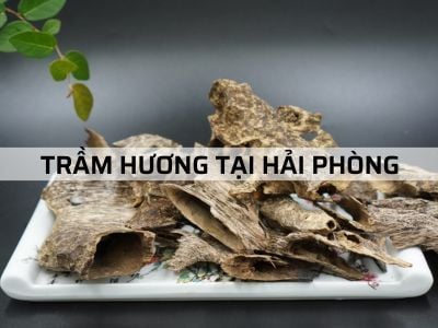 Mua Trầm Hương tại Hải Phòng bán ở đâu - Địa chỉ uy tín