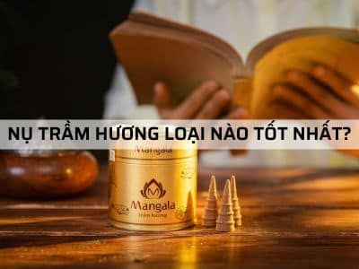 Nụ Trầm Hương Loại Nào Tốt Nhất & Bí Quyết Chọn Nu Trầm