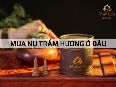 MUA NỤ TRẦM HƯƠNG Ở ĐÂU? thơm và yên tâm không hóa chất