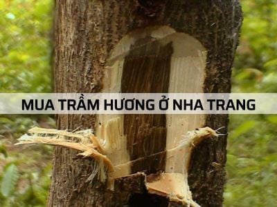 "CỬA HÀNG TRẦM HƯƠNG Ở NHA TRANG" - các lưu ý khi mua hàng?