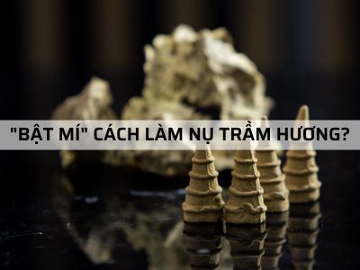"Bật mí" cách làm Nụ Trầm Hương an toàn cho sức khỏe