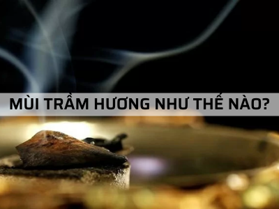 Mùi Trầm Hương như thế nào? Phân biệt chuẩn mùi Trầm Hương