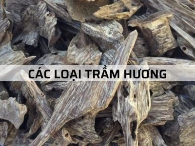 "Các loại Trầm Hương hiện nay" - Tiết lộ bí mật Trầm Hương thật giả?