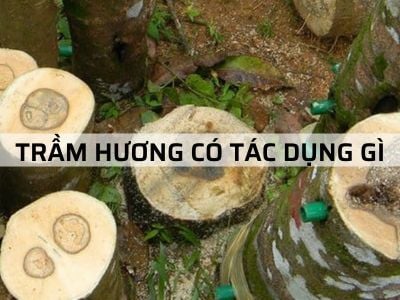 "TRẦM HƯƠNG CÓ TÁC DỤNG GÌ" - và những lợi ích khiến bạn bất ngờ