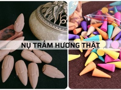 Nụ Trầm Hương thật - Nụ Trầm Hương Giả hiểu thế nào cho đúng?