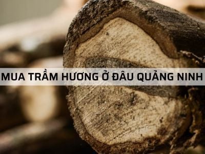 Địa chỉ bán Trầm Hương ở Quảng Ninh chất lượng?