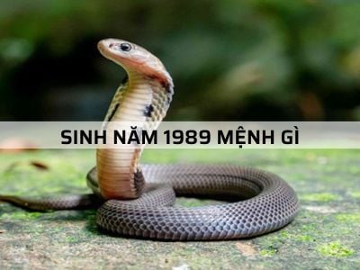 Sinh năm 1989 mệnh gì - Tư vấn phong thủy dành cho tuổi 1989