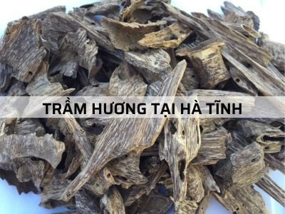 Trầm Hương tại Hà Tĩnh - một số lưu ý trước khi mua?