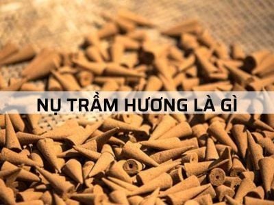 Nụ Trầm Hương Là Gì? Vì Sao Ngày Càng Được Yêu Chuộng?