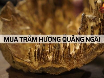 Một số địa chỉ bán Trầm Hương uy tín tại Quảng Ngãi