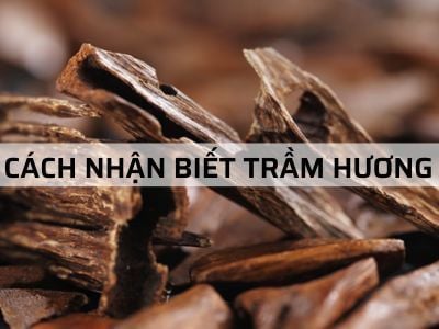 Cách nhận Biết Trầm Hương - Phân biệt Trầm Hương Thật Giả?